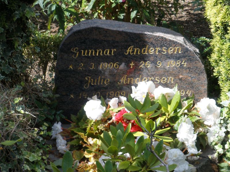 Julie Andersen .JPG